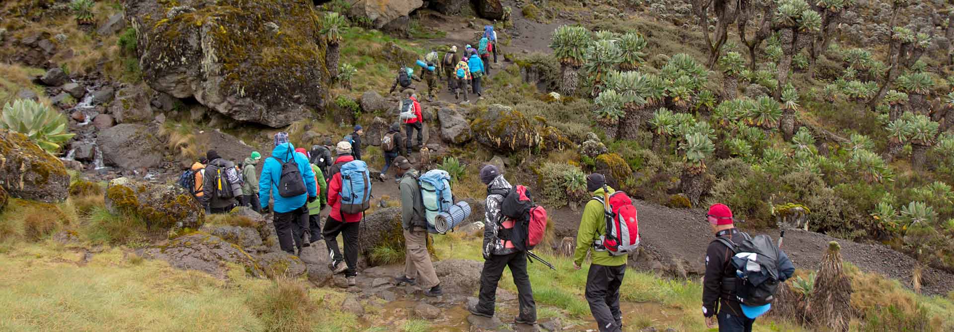 kili slide