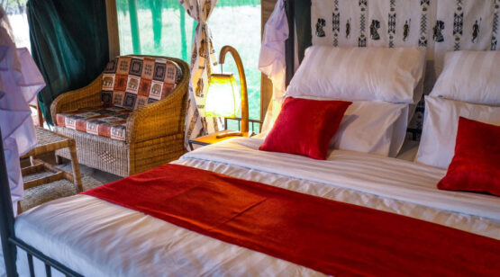 8 Days - Tanzania Culture and Wildlife, Tanzania Nature and Culture