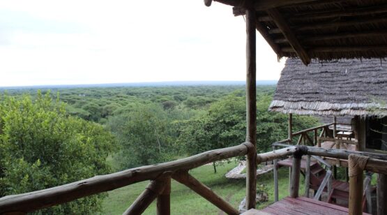 Tanzania Culture and Wildlife, Tanzania Nature and Culture