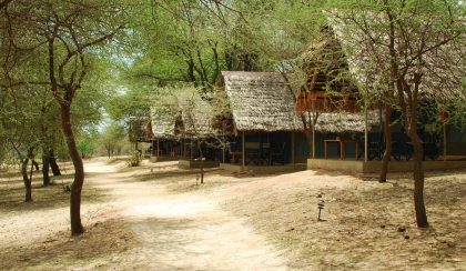 Tarangire Safari Lodge 2