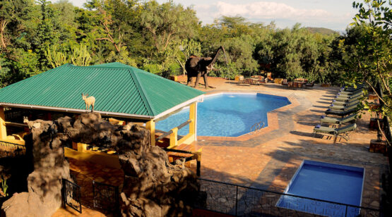 Cultural Tourism, Tanzania safari