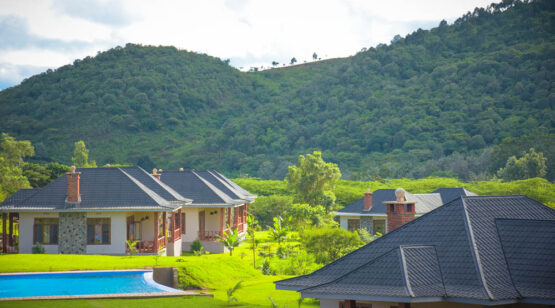 Ngorongoro-coffee-lodge-2