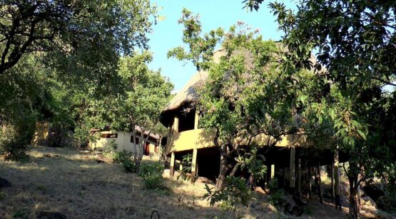 Sangaiwe Tented Lodge 5