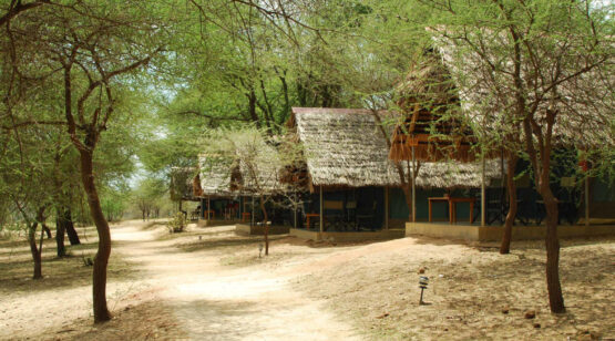 8 Days – Tanzania Nature, Wildlife and Cultural Experience, Cultural Tourism
