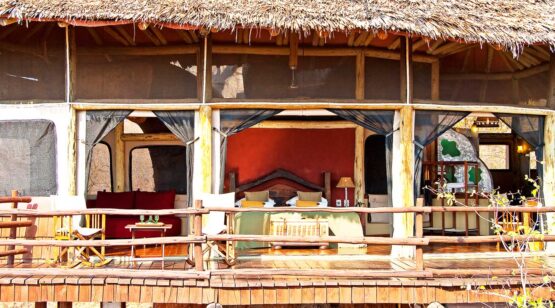 14 Days Tanzania & Rwanda Wildlife up-close