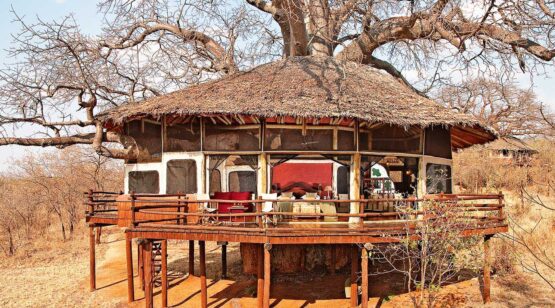 14 Days Tanzania & Rwanda Wildlife up-close