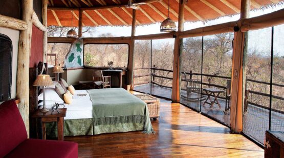 14 Days Tanzania & Rwanda Wildlife up-close