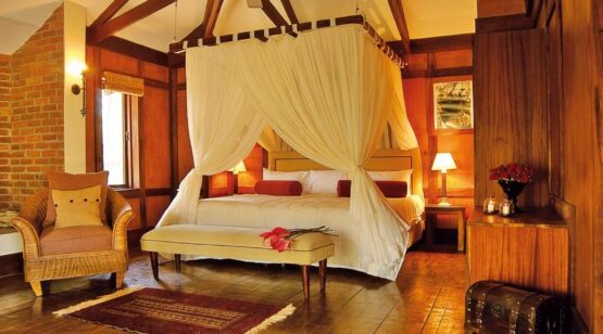 12 Days Tanzania Wildlife Up-Close and Culture, 14 Days Tanzania & Rwanda Wildlife up-close