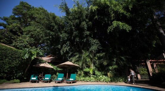 12 Days Tanzania Wildlife Up-Close and Culture, 14 Days Tanzania & Rwanda Wildlife up-close