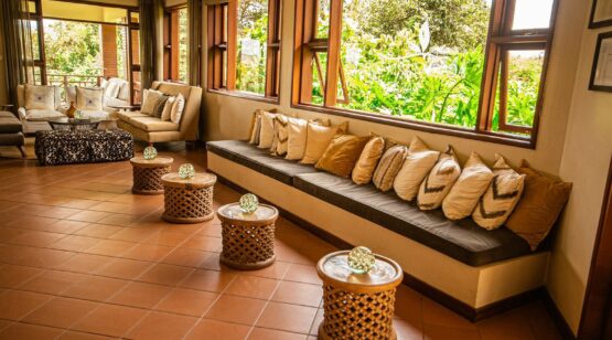 Tanzania & Kenya Wildlife