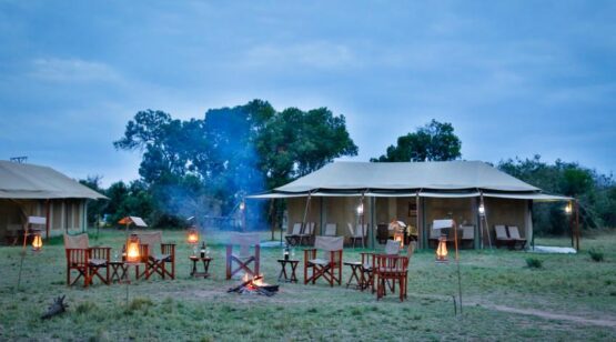Tanzania & Kenya Wildlife