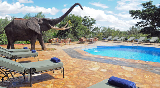Cultural Tourism, Tanzania safari