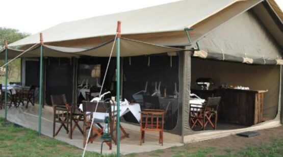 mara river 1
