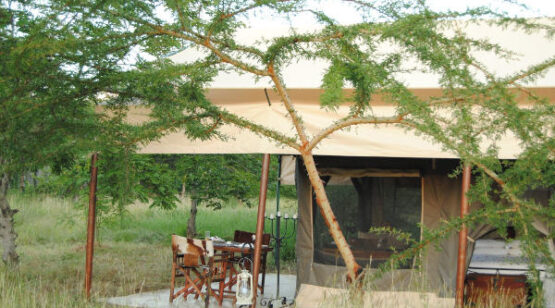 ndutu 1