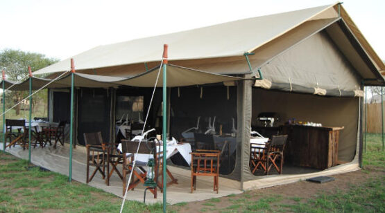 ndutu 2