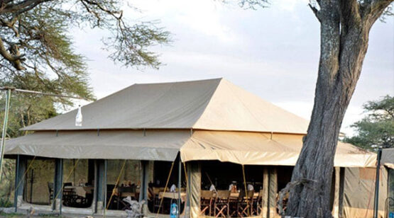 ndutu 6