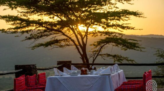 Tanzania & Kenya Wildlife