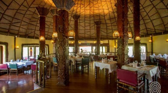 Tanzania & Kenya Wildlife, 8 Days – Tanzania Nature, Wildlife and Cultural Experience