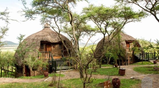 Tanzania & Kenya Wildlife, 8 Days – Tanzania Nature, Wildlife and Cultural Experience