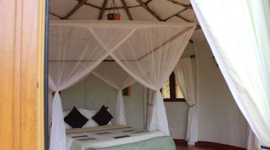 Tanzania Safari