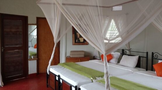 tarangire osupuko lodge 4