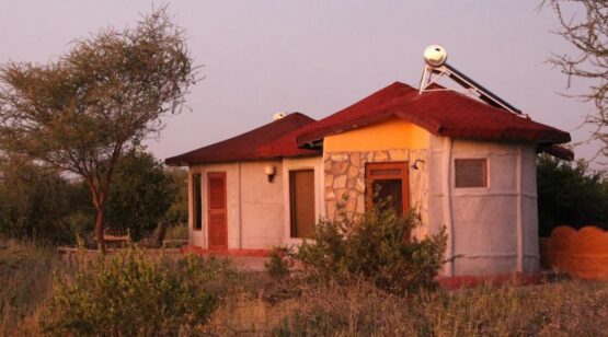 tarangire osupuko lodge 6
