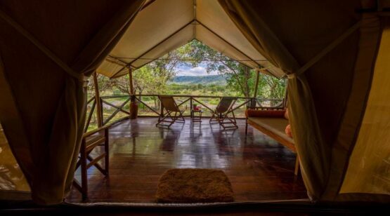 Karen Blixen Camp Masai Mara 3