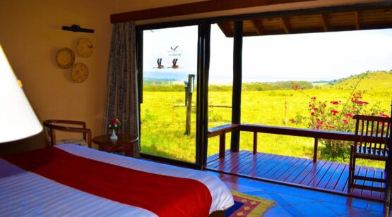 Lake Nakuru Lodge 7