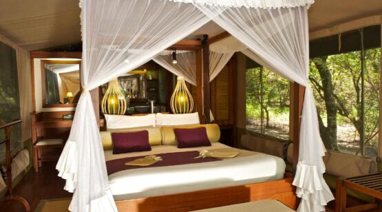 Tanzania & Kenya Wildlife