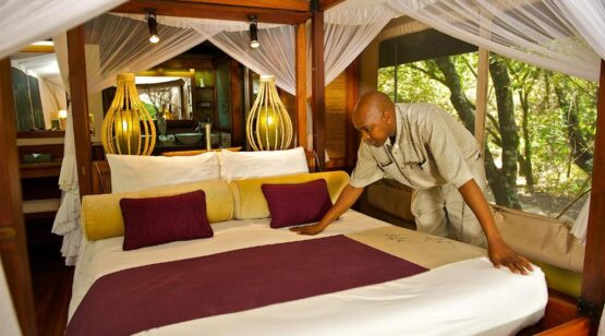 Tanzania & Kenya Wildlife