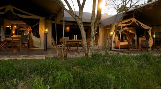 Tanzania & Kenya Wildlife