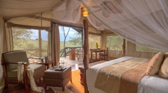 5 Days the Best of Maasai Mara Reserve, Sarova Mara Camp