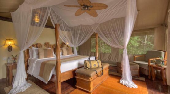 5 Days the Best of Maasai Mara Reserve, Sarova Mara Camp