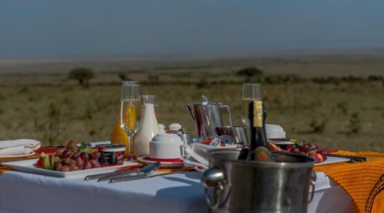Sarova Mara Game Camp 3