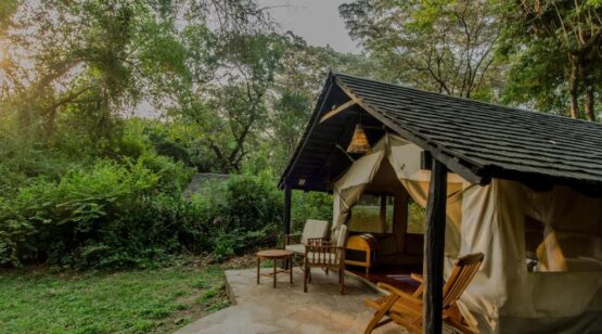 Sarova Mara Game Camp 6