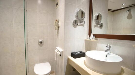 Sarova Panafric 4