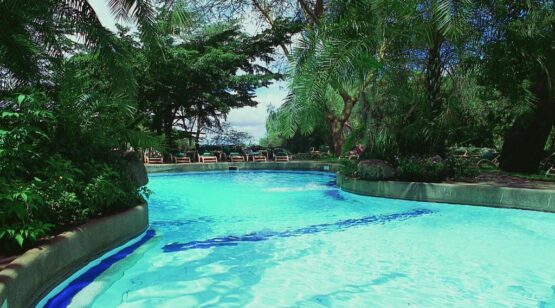 amboseli serena lodge 4