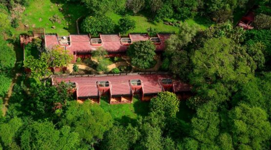 amboseli serena lodge 6