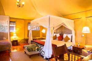 Crater Forest Tented Lodge 4
