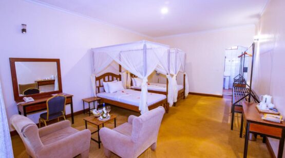 Eileen's Trees Inn 3