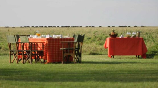 Elephant-Pepper-Camp-1