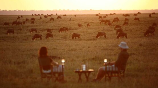 Elephant-Pepper-Camp-2