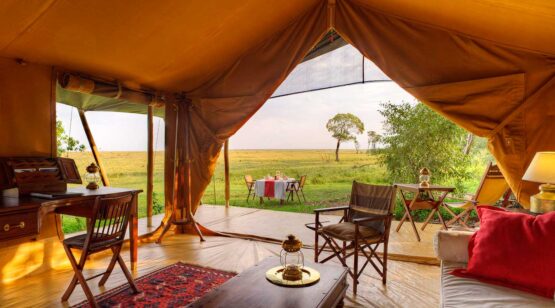 Elephant-Pepper-Camp-3