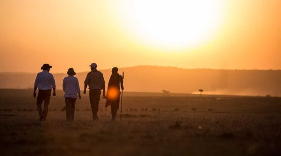 Elephant-Pepper-Camp-4