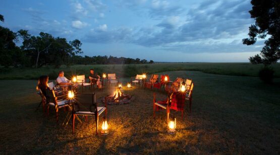 Elephant-Pepper-Camp-5