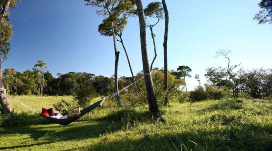 Elephant-Pepper-Camp-6