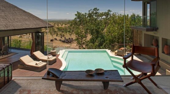 14 Days Tanzania & Rwanda Wildlife up-close