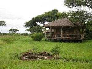 Ikoma Bush Camp 3