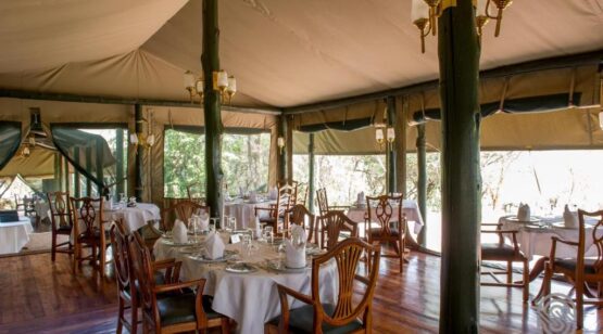 Kirawira Serena Camp 6