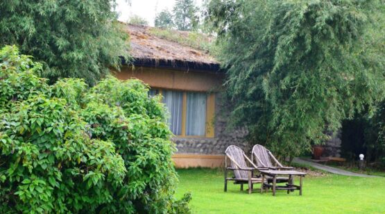 Mountain Gorilla View Lodge 3